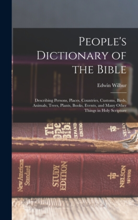 People's Dictionary of the Bible av Edwin Wilbur 1831-1929 Rice (Hardcover)