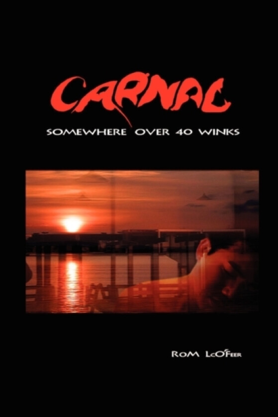 Somewhere Carnal Over 40 Winks av Dr Rom LcO'Feer (Paperback)
