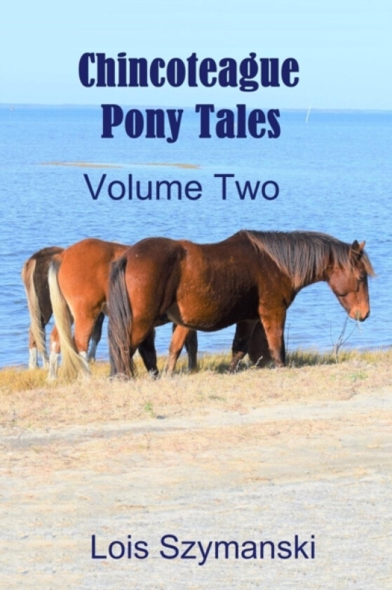 Chincoteague Pony Tales - Volume 2 av Lois Szymanski (Paperback)