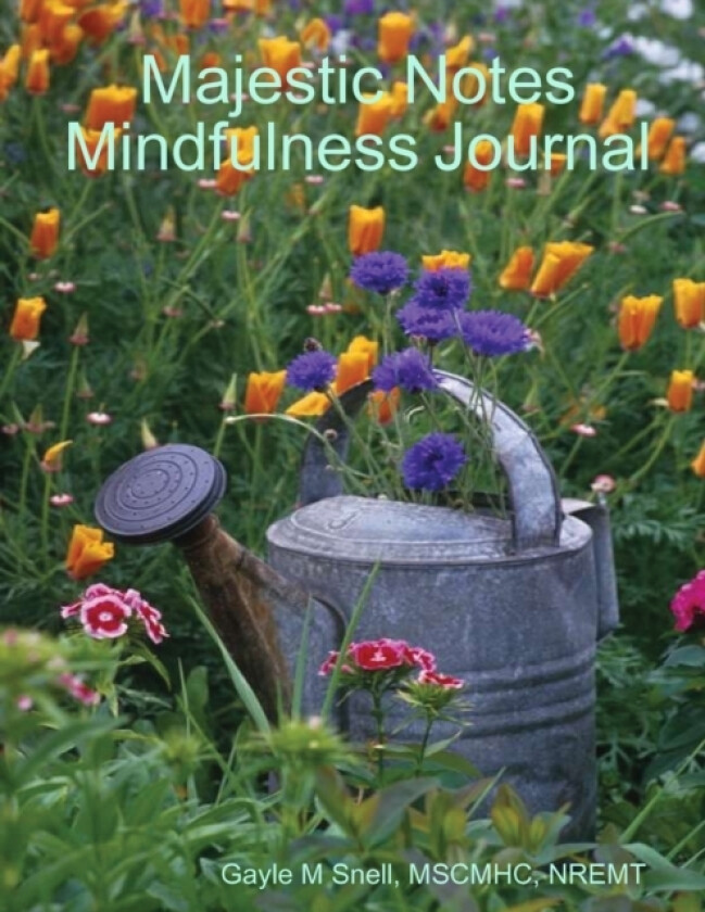 Majestic Notes Mindfulness Journal av Gayle M Snell (Paperback)