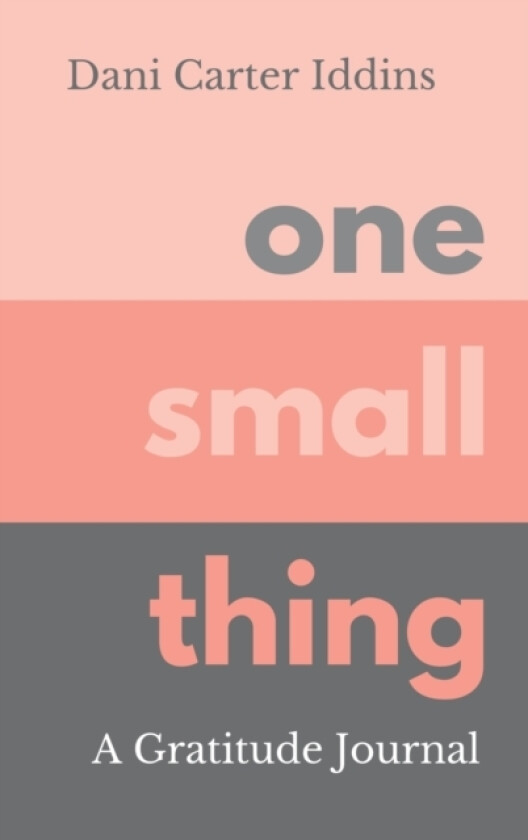 One Small Thing: A Gratitude Journal av Dani Carter Iddins (Hardcover)