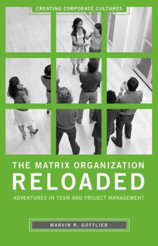 The Matrix Organization Reloaded av Marvin R.Gottlieb Ph.D. (Hardcover)