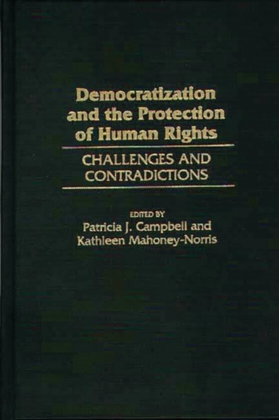 Democratization and the Protection of Human Rights av Patricia J. Campbell, Kathleen Mahoney-Norris (Hardcover)
