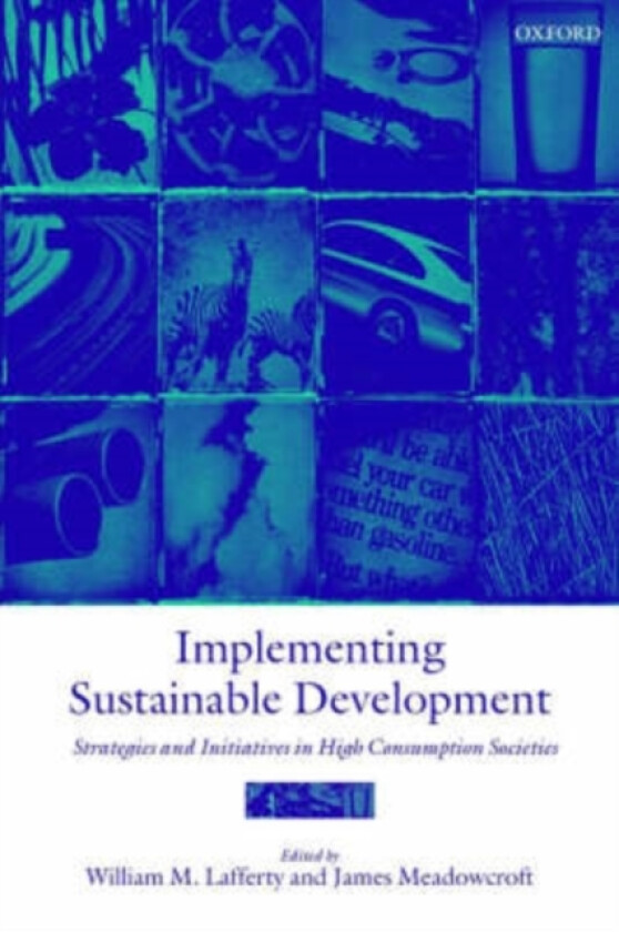 Implementing Sustainable Development av William M. Lafferty, James Meadowcroft (Paperback)