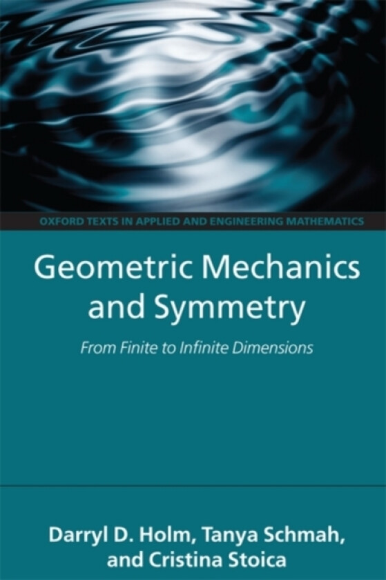 Geometric Mechanics and Symmetry av Darryl D. Holm, Tanya Schmah, Cristina Stoica (Paperback)