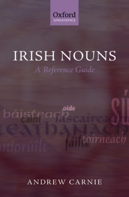 Irish Nouns av Andrew Carnie (Hardcover)