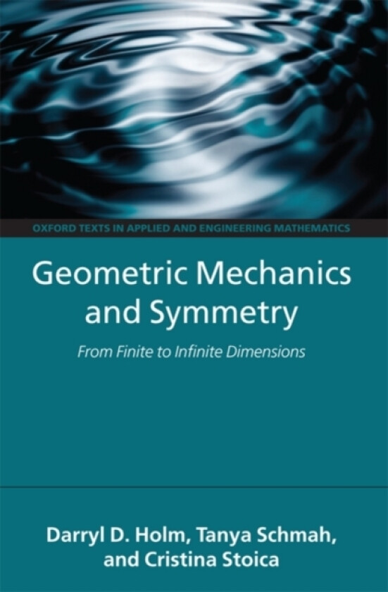 Geometric Mechanics and Symmetry av Darryl D. Holm, Tanya Schmah, Cristina Stoica (Hardcover)