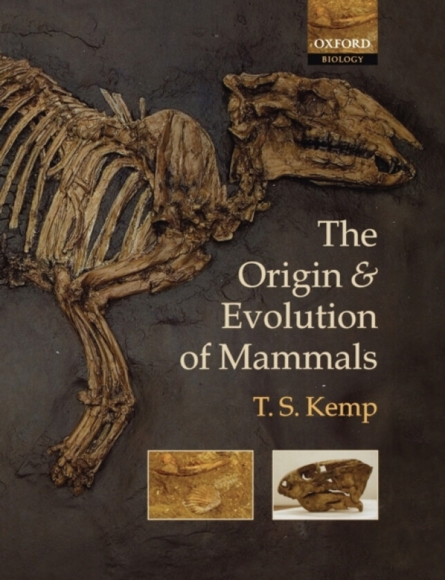 The Origin and Evolution of Mammals av T.S. Kemp (Paperback)