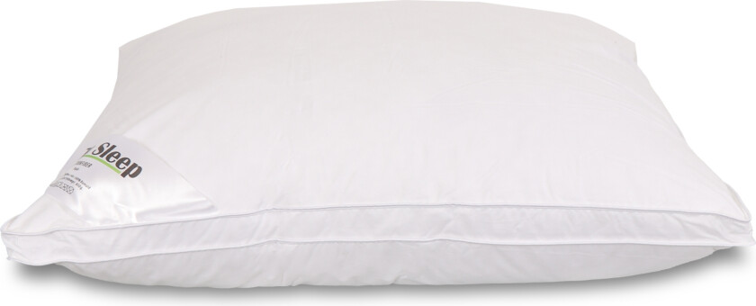 Dunfiberpute - Allergivennlig hodepute - 50x60 cm - Mellom - Zen Sleep