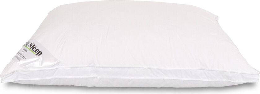 Dunfiberpute - Allergivennlig hodepute - 50x70 cm - Mellom - Zen Sleep
