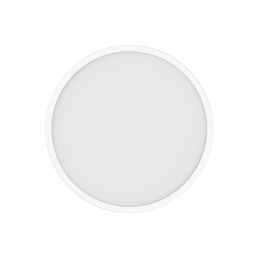Smart Ceiling Light D40