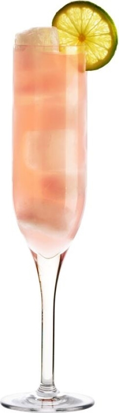Champagneglass 20 Cl - Polycarbonat