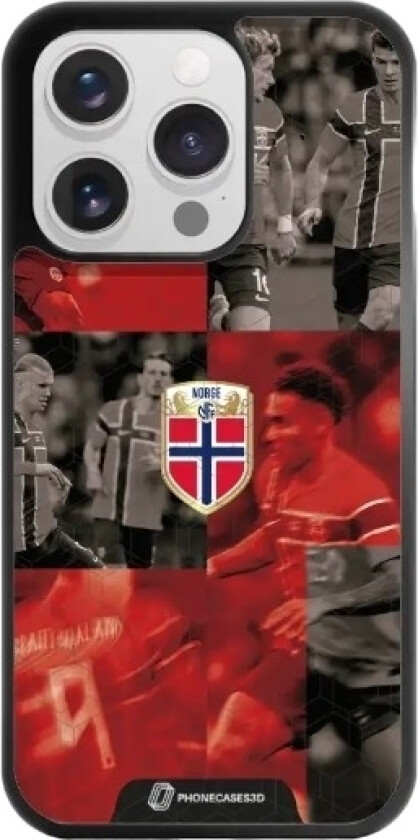 iPhone 16 Pro Norges Fotballforbund 3D mobildeksel