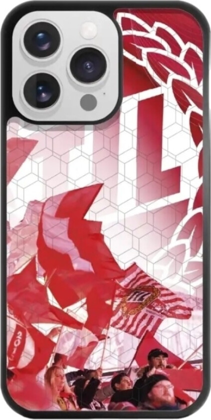 iPhone 13 Pro Tromsø IL 3D mobildeksel, svart