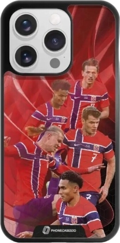 iPhone 16 Pro Norges Fotballforbund 3D mobildeksel