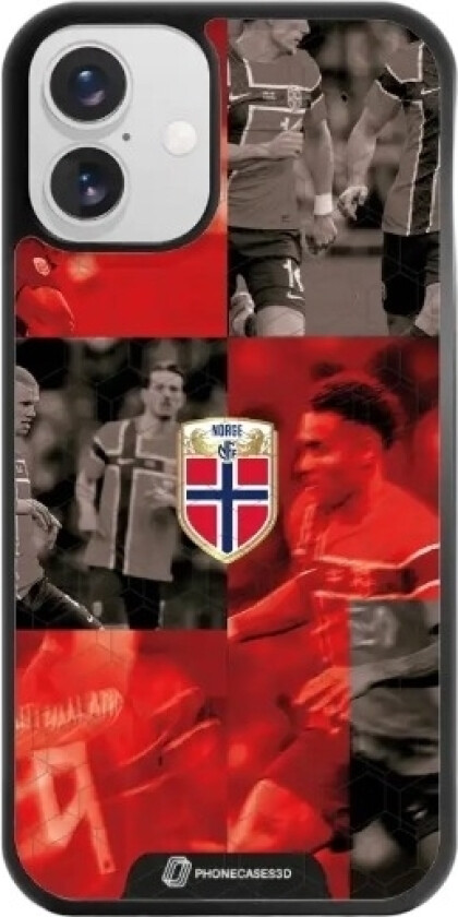iPhone 16 Plus Norges Fotballforbund 3D mobildeksel