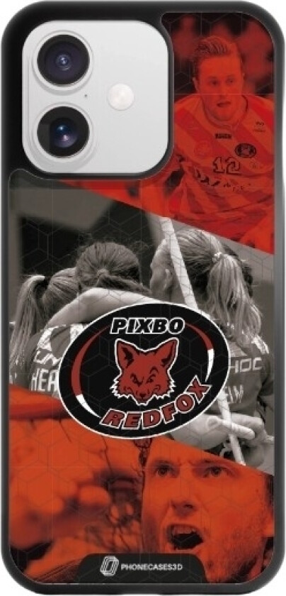 iPhone 17 Pixbo IBK 3D mobildeksel, svart