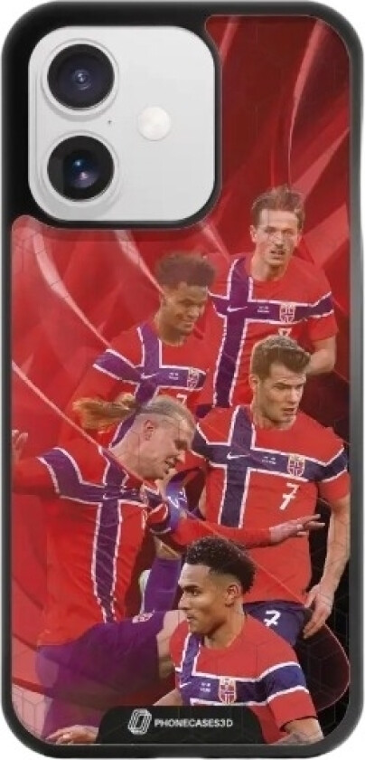 iPhone 17 Norges Fotballforbund 3D mobildeksel