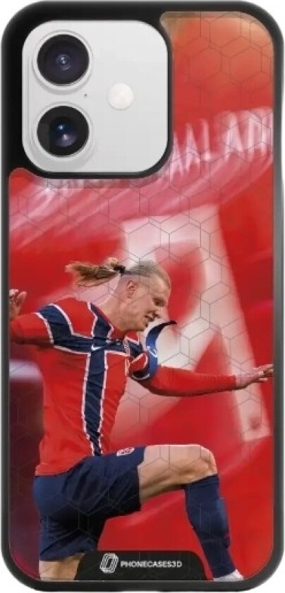 iPhone 17 Norges Fotballforbund 3D mobildeksel