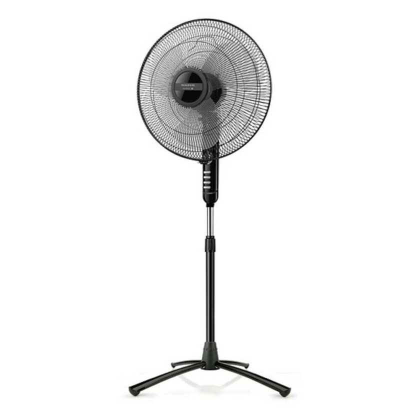 Bergen 16C, Husholdningsvifte, Sort, Grå, Gulv, 51,46 dB, 40 cm, Knapper