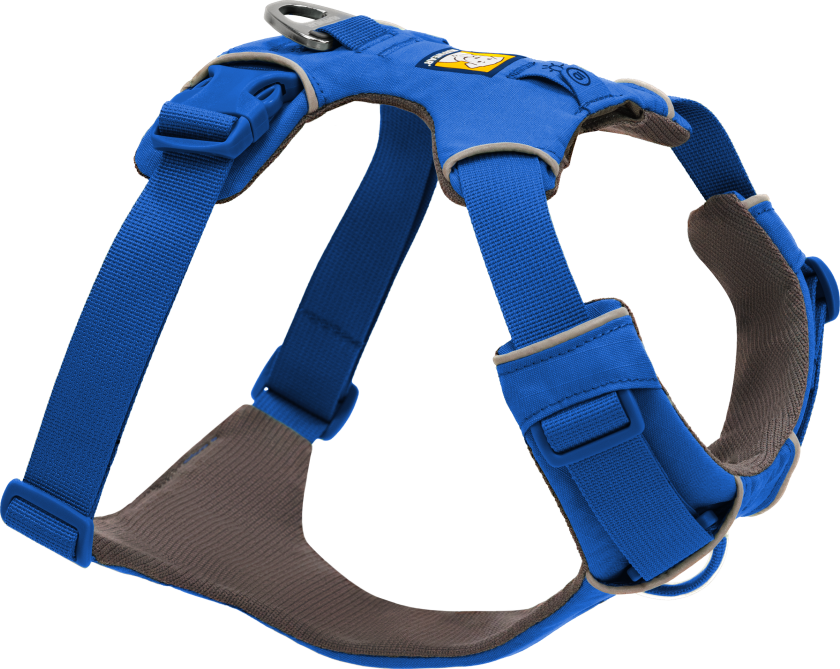 Front Range® Harness 46-56 cm, Blue Pool