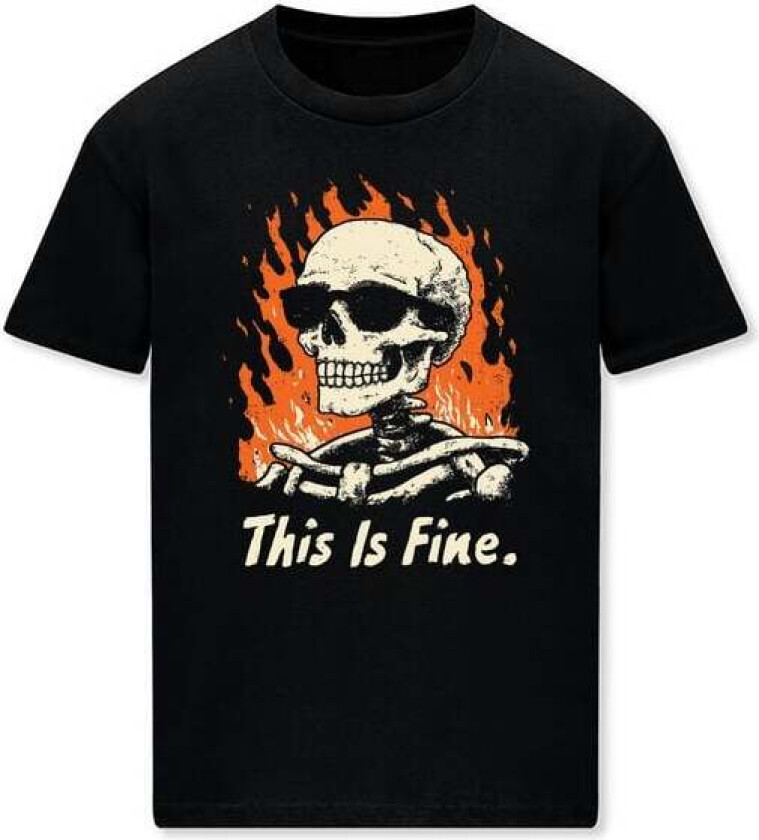 Fun T-skjorte - This Is Fine - M til 3XL - Herrer - svart