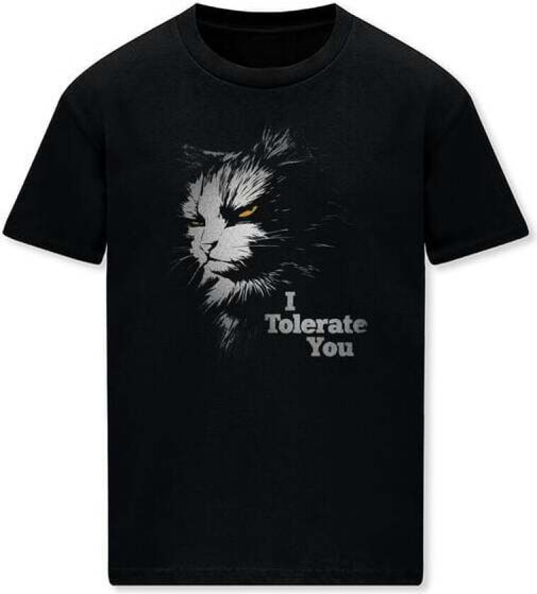 Fun T-skjorte - I Tolerate You - M til 3XL - Herrer - svart