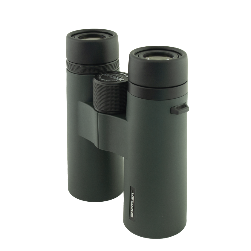 GOMA 10x42 ED WP KIKKERT