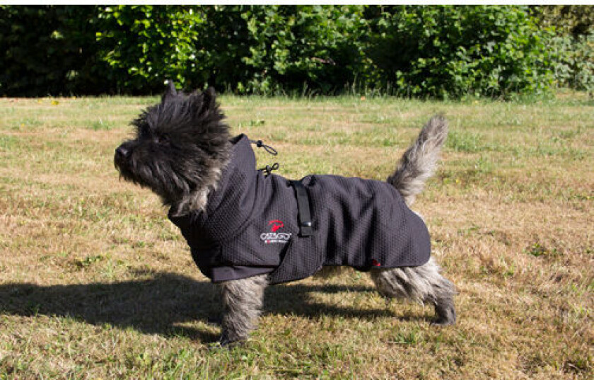 FIR-TECH Dog Rug 45, Black