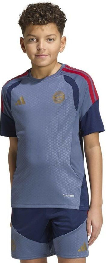 Bilde av Bayern München Trenings T-Skjorte Tiro 26 - Preoved Blekk/Natt Indigo Barn - adidas, størrelse 140 cm