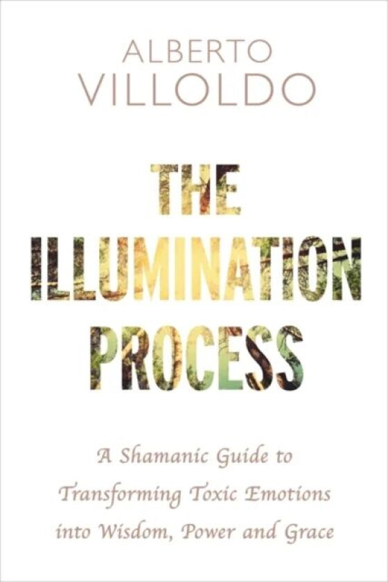 The Illumination Process av Alberto PhD Villoldo