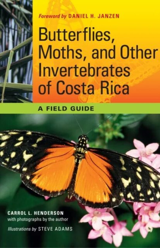 Butterflies, Moths, and Other Invertebrates of Costa Rica av Carrol L. Henderson