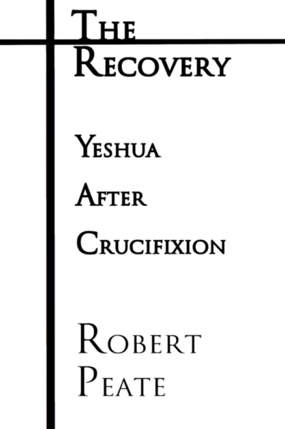 The Recovery av Robert Peate (Paperback)