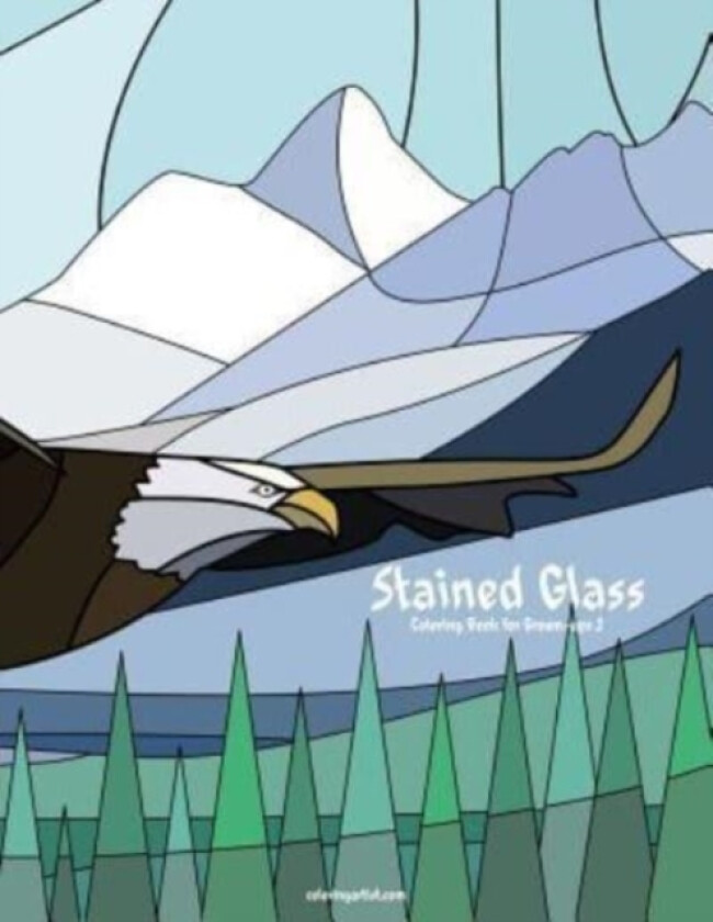 Stained Glass Coloring Book for Grown-Ups 2 av Nick Snels (Paperback)