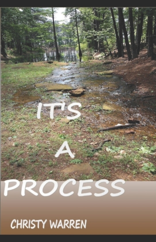 It's A Process av Christy Y Warren (Paperback)