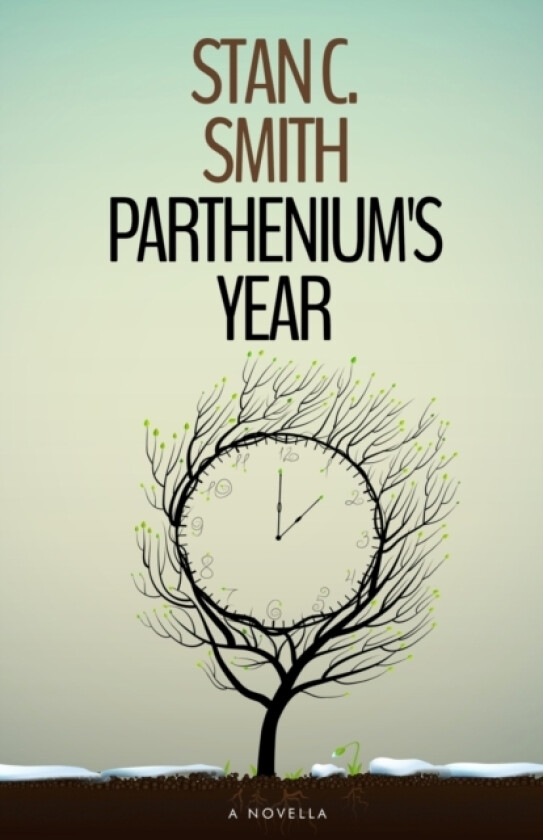 Parthenium's Year av Stan C Smith (Paperback)