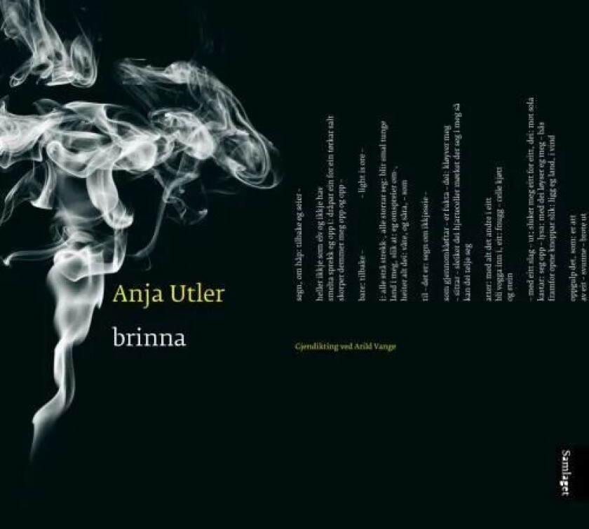 Brinna av Anja Utler