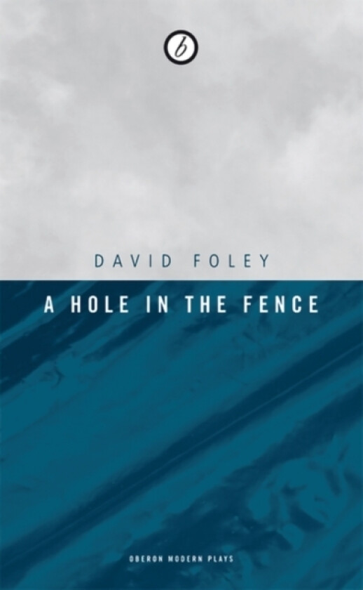 A Hole in the Fence av David Foley (Paperback)