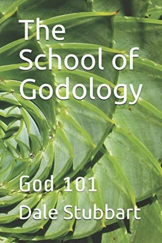 The School of Godology: God 101 av Dale Stubbart (Paperback)