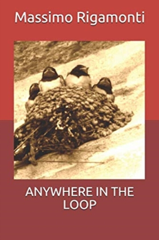 Anywhere in the Loop av Massimo Rigamonti (Paperback)