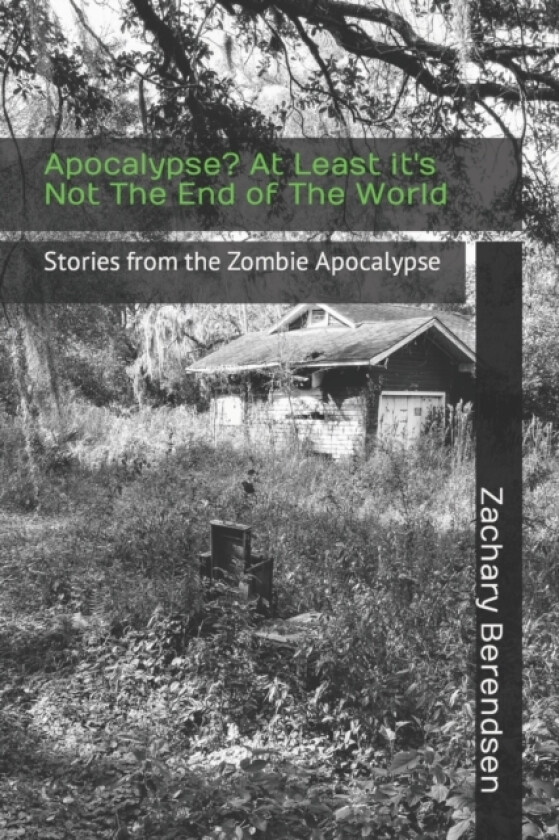 Apocalypse? At Least it's Not The End of The World av Derek Berendsen, Zachary Berendsen (Paperback)