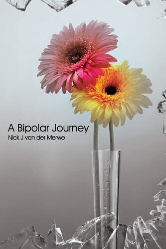 A Bipolar Journey av Nick J Van Der Merwe (Paperback)