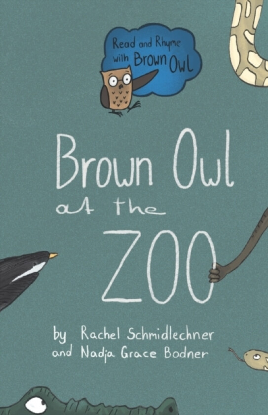 Brown Owl at the Zoo av Rachel Schmidlechner (Paperback)