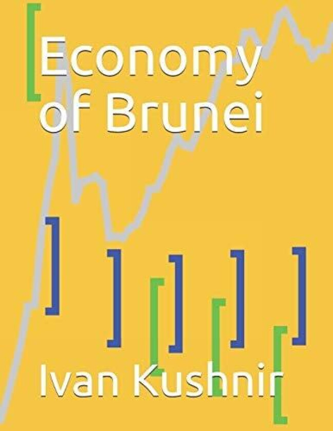 Economy of Brunei av Ivan Kushnir (Paperback)