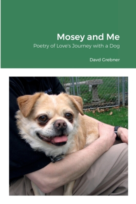 Mosey and Me av David Grebner (Paperback)
