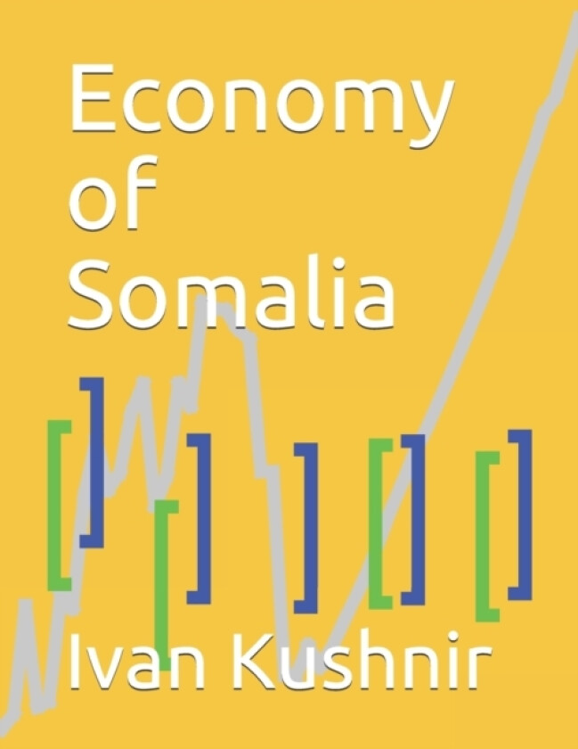 Economy of Somalia av Ivan Kushnir (Paperback)