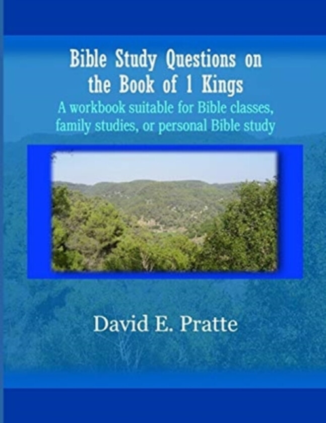 Bible Study Questions on the Book of 1 Kings av David E Pratte (Paperback)