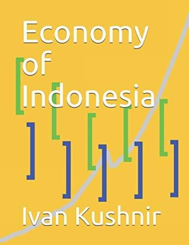 Economy of Indonesia av Ivan Kushnir (Paperback)