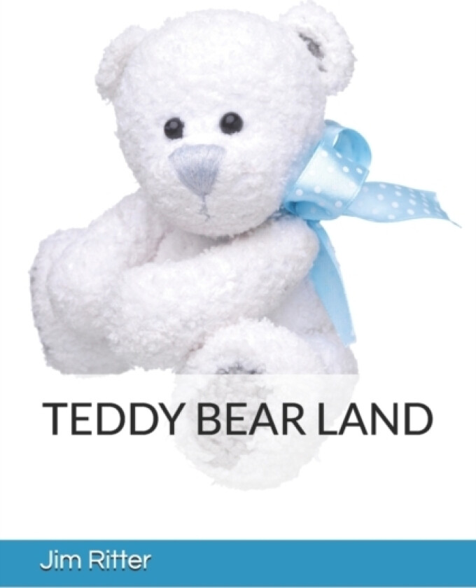 Teddy Bear Land av Jim Ritter (Paperback)