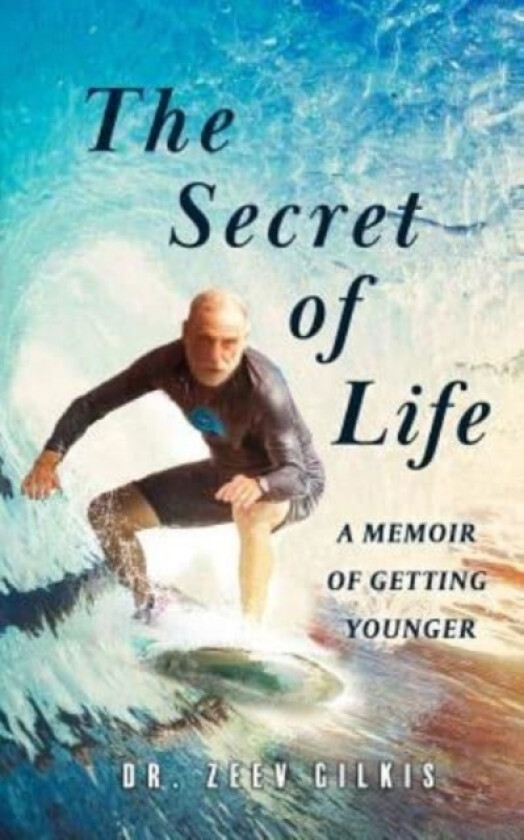 The Secret of Life av Zeev Gilkis (Paperback)
